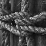 Семена конопли Auto White Widow feminised Trikoma Seeds image_119.jpg