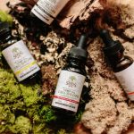 Семена конопли в Европе: история, питательные свойства и перспективы использования image_12.jpg