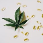 Продукты содержащие семена конопли и их полезные свойства image_132.jpg