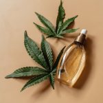 Конопля посевная - универсальное растение с большим потенциалом image_133.jpg