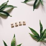 Семена конопли индийской особенности выращивания и покупки image_134.jpg