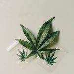 Сочетание blackberry и семян конопли в рационе питания image_142.jpg