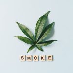 Сайты продающие семена конопли и их особенности image_143.jpg