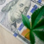 Приобретение семян марихуаны из Голландии по почте image_154.jpg