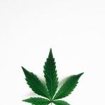 Приобретение семян марихуаны с доставкой курьером image_17.jpg