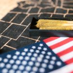 Получение и применение семян конопли image_178.jpg