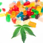 Семена конопли Tangie feminised Reserva Privada image_237.jpg