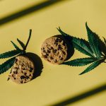 Разнообразие семян и сортов конопли image_281.jpg