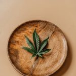 Как заказать семена конопли почтой соблюдая необходимые правила и законы image_307.jpg