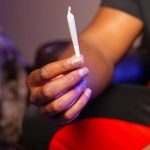 Семена конопли Malasana Cookies feminised от производителя Exotic Seed image_409.jpg