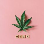 Семена конопли Auto Sweet Special regular от Ganja Seeds image_418.jpg