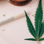 Виды семян марихуаны и их особенности image_469.jpg