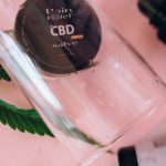 Семена конопли Galaxy CBD feminised от Pyramid Seeds image_476.jpg