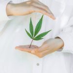 Семена конопли Auto G14 feminised Fast Buds image_488.jpg