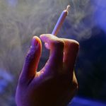 Семена конопли полезные свойства и использование image_61.jpg