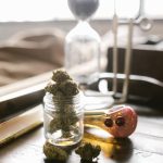 Семена конопли в Украине: перспективы и возможности использования image_78.jpg