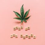 Семена конопли Ganesh Spirit от сидбанка Ganja Seeds image_97.jpg