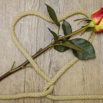 Семена конопли Shaman feminised от Dutch Passion Seeds images328.jpg