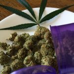 Семена конопли Pure Power Plant от Nirvana Seeds images475.jpg