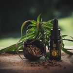 Почему семена марихуаны дорогие и стоит ли их покупать images76.jpg