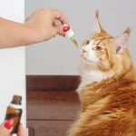 Сайт с семенами конопли: как выбрать и купить качественные семена для успешного выращивания images98.jpg