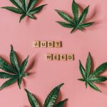 Семена Конопли Индики: Преимущества и Как Купить image_102.jpg