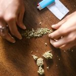 Покупка и использование семян конопли в Ростове-на-Дону image_104.jpg