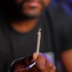 Ввоз семян конопли в Россию: законодательные аспекты и процедура ввоза image_106.jpg