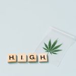 Семена конопли Cannalope Kush feminised от DNA Genetics image_129.jpg