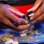 Семена конопли Auto Mazar feminised от Dutch Passion Seeds image_150.jpg