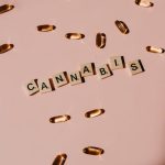 Семена конопли Auto Northern Blue от Ganja Seeds image_190.jpg