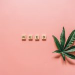 Семена конопли в екатеринбурге полезные свойства и применение image_191.jpg