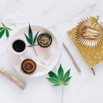 Проращивание семян конопли image_211.jpg