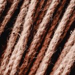 Семя конопли в птичьем корме его питательная ценность и преимущества использования image_214.jpg