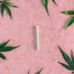 Проращивание семян марихуаны image_220.jpg