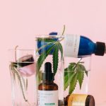 Происхождение и качество семян конопли image_227.jpg