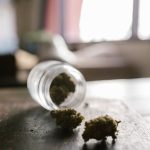 Банк семян конопли сохранение генетического разнообразия и перспективы использования image_298.jpg