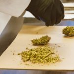 Автоцветущие Феминизированные Семена Конопли Особенности и Преимущества image_299.jpg