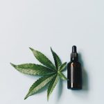 Семена конопли Shaman от Dutch Passion Seeds image_315.jpg