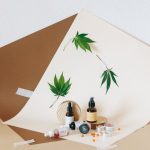 Семена конопли Zkittalicious feminised от компании Exotic Seed image_343.jpg