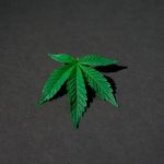 Курение семян марихуаны последствия и эффекты image_364.jpg