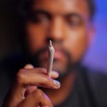 Семена конопли White Haze feminised от Breeders Community Seeds image_410.jpg