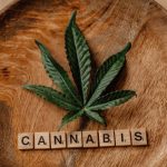 Семена конопли Auto Bubblelicious от Ganja Seeds image_416.jpg