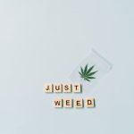 Покупка и выращивание семян конопли по почте image_419.jpg