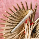 Сорт конопли Chocolate Haze feminised от Royal Queen Seeds image_45.jpg