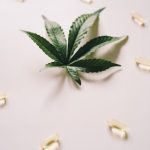 Законность покупки семян конопли image_491.jpg