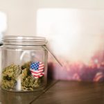 Перспективы использования семян конопли в Санкт-Петербурге image_503.jpg