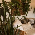 Семинария Семена Конопли Преимущества и Использование image_512.jpg