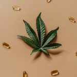 Семена Голландской Конопли Преимущества и Особенности Выращивания image_52.jpg