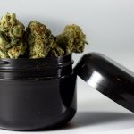 Посадка семян конопли основные аспекты выращивания image_528.jpg